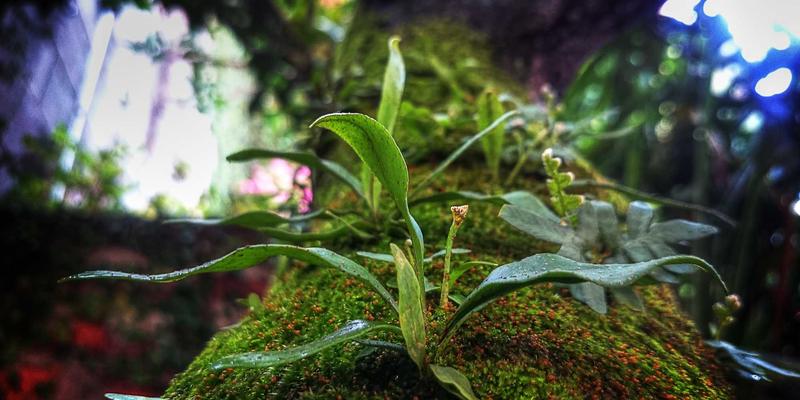 不止于交付:深度解析世纪盛佳装饰的售后服务,如何为您的装修工程保驾护航