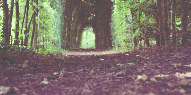 世纪盛佳装饰17年：专业装饰设计与装修工程如何重塑理想空间