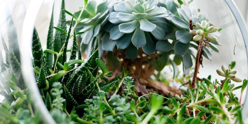 世纪盛佳装饰深度解析:工业风商业空间如何通过动线规划,精准引导消费行为与心理