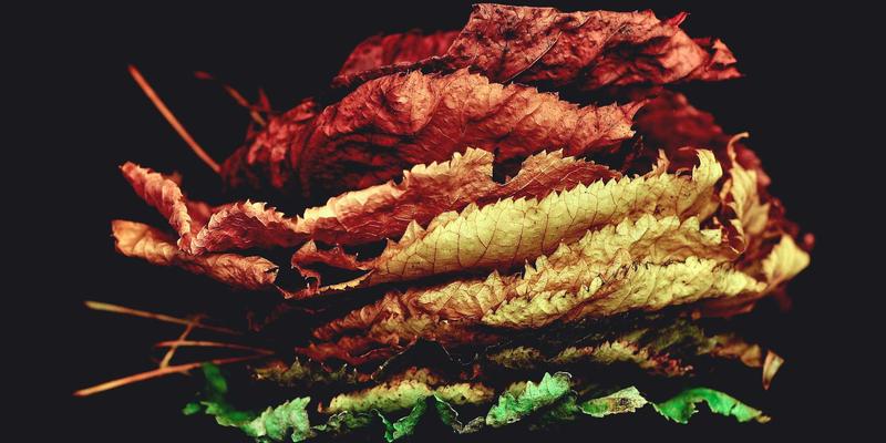 世纪盛佳装饰：解锁红色主题装修的艺术与哲学，打造独一无二的家居气场